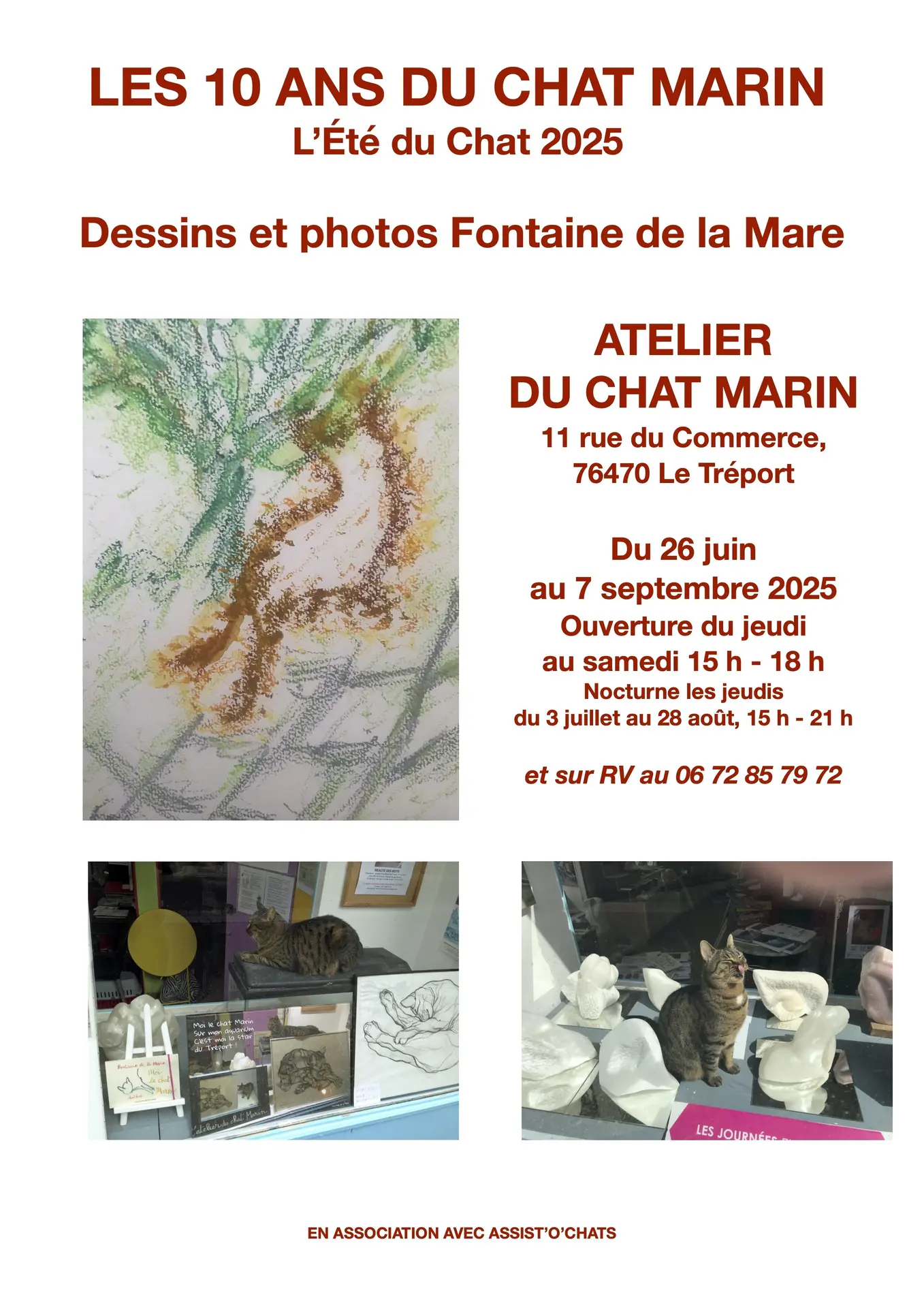 AFFICHE 2 LES 10 ANS DU CHAT MARIN
