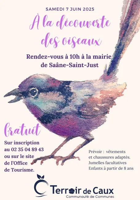 A LA DECOUVERTE DES OISEAUX