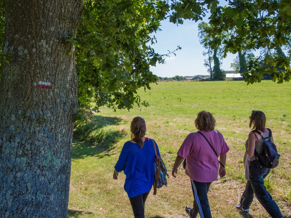 Randonnée dans le pays de Caux