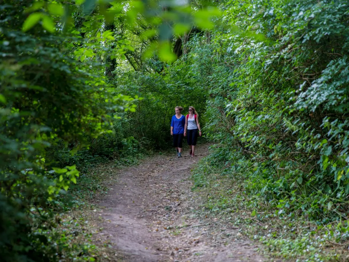 Randonnée dans la campagne cauchoise