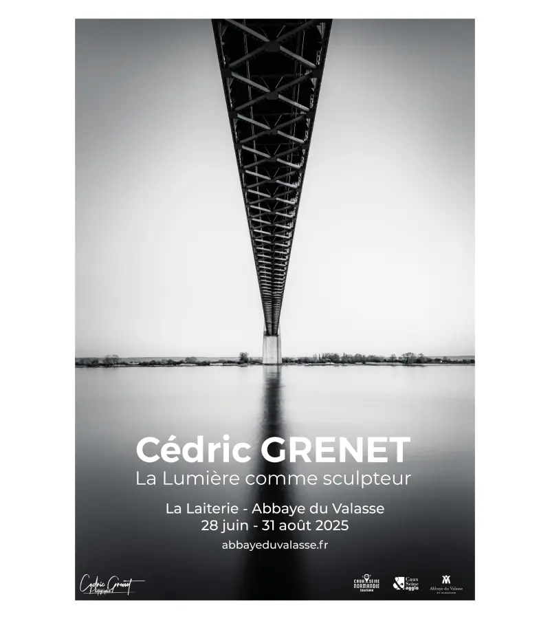 Affiche Cedric Grenet - Exposition La Laiterie (1)