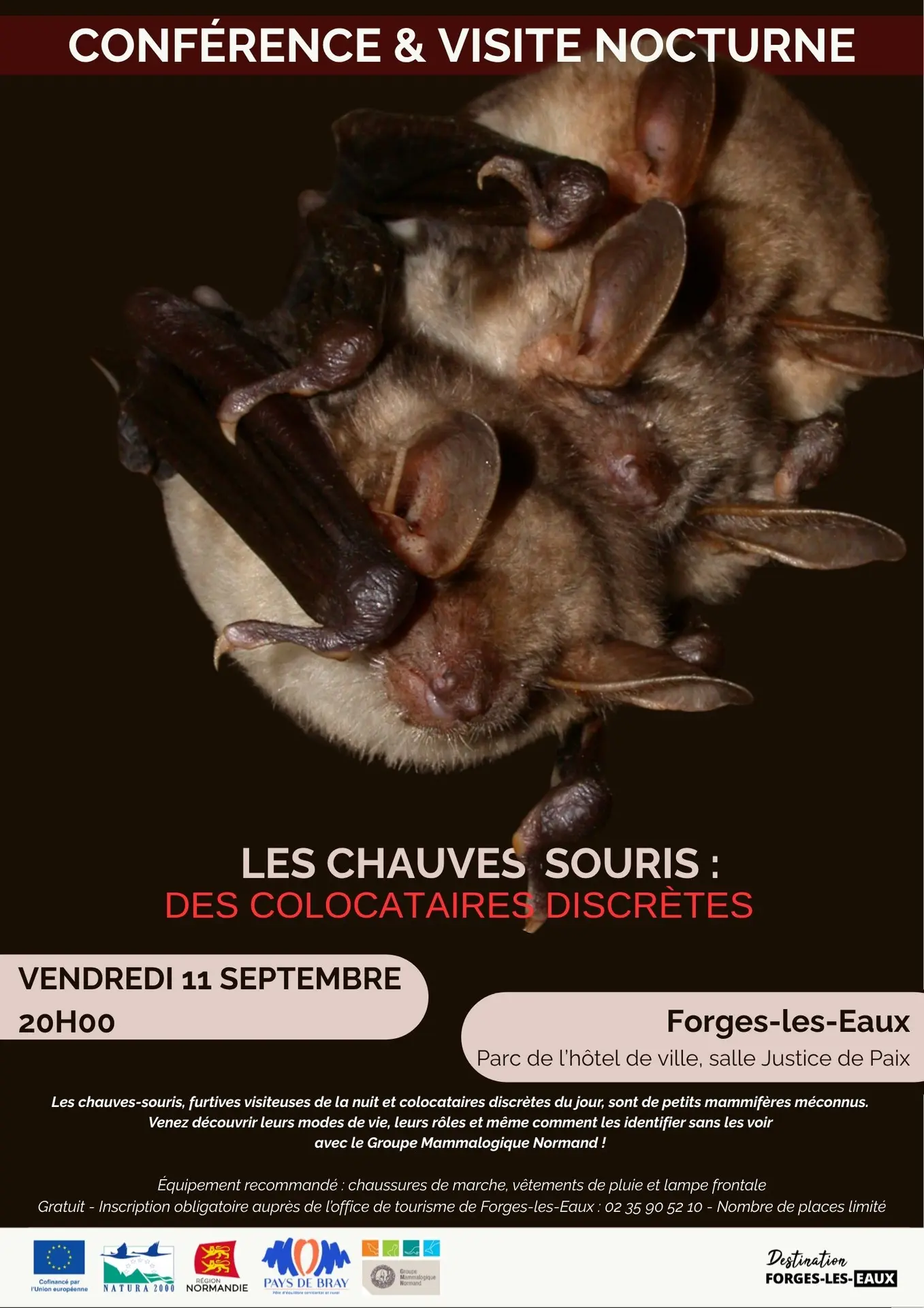 Affiche conf chauvesouris 11septembre - 1
