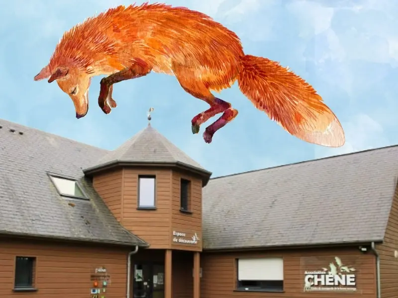 AllouvilleBellefosse_ConferenceDebatRenard©AssociationCHENE-2026