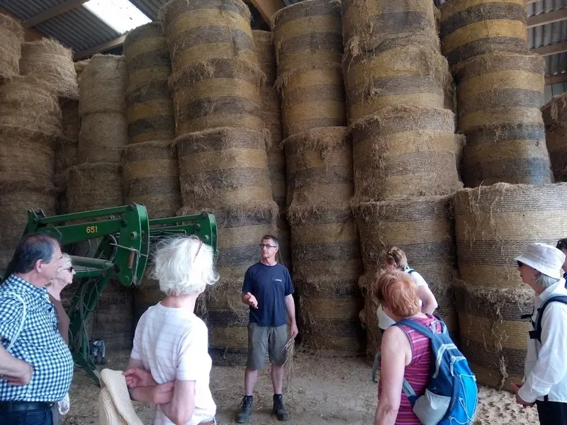 AllouvilleBellefosse_VisiteFermeDuChene1©YvetotNormandieTourisme-2026