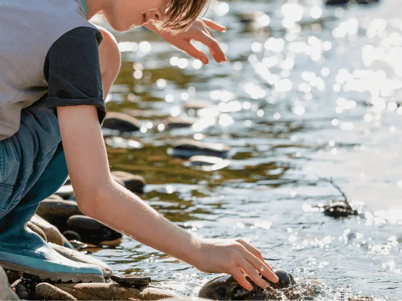 DIPTICK redimensionnement visuels - APE - petite pêche