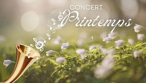 Bandeau Newsletter  - 10