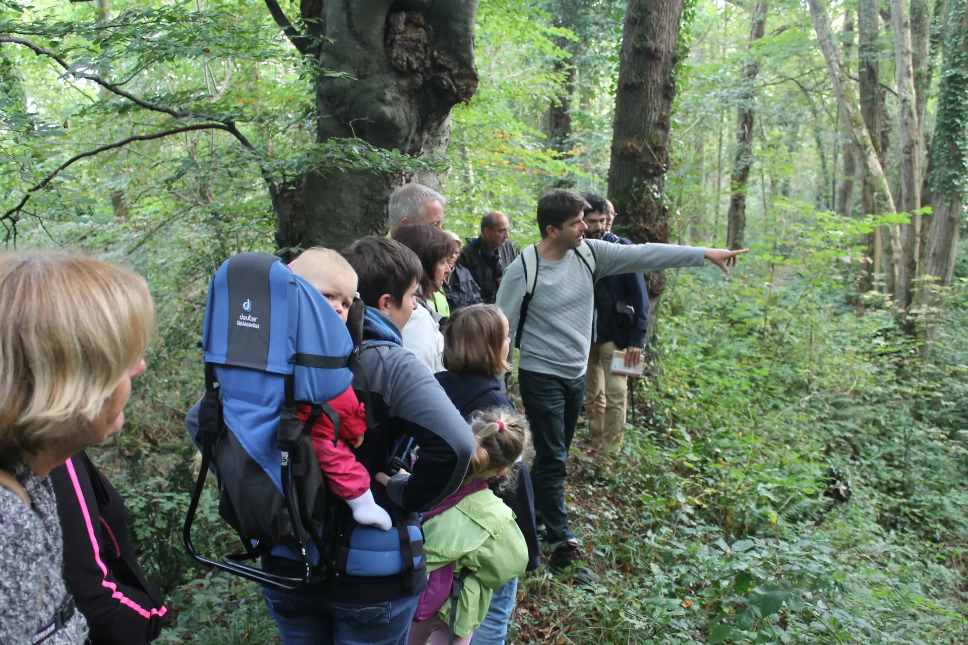 Bois-de-Bernouville
