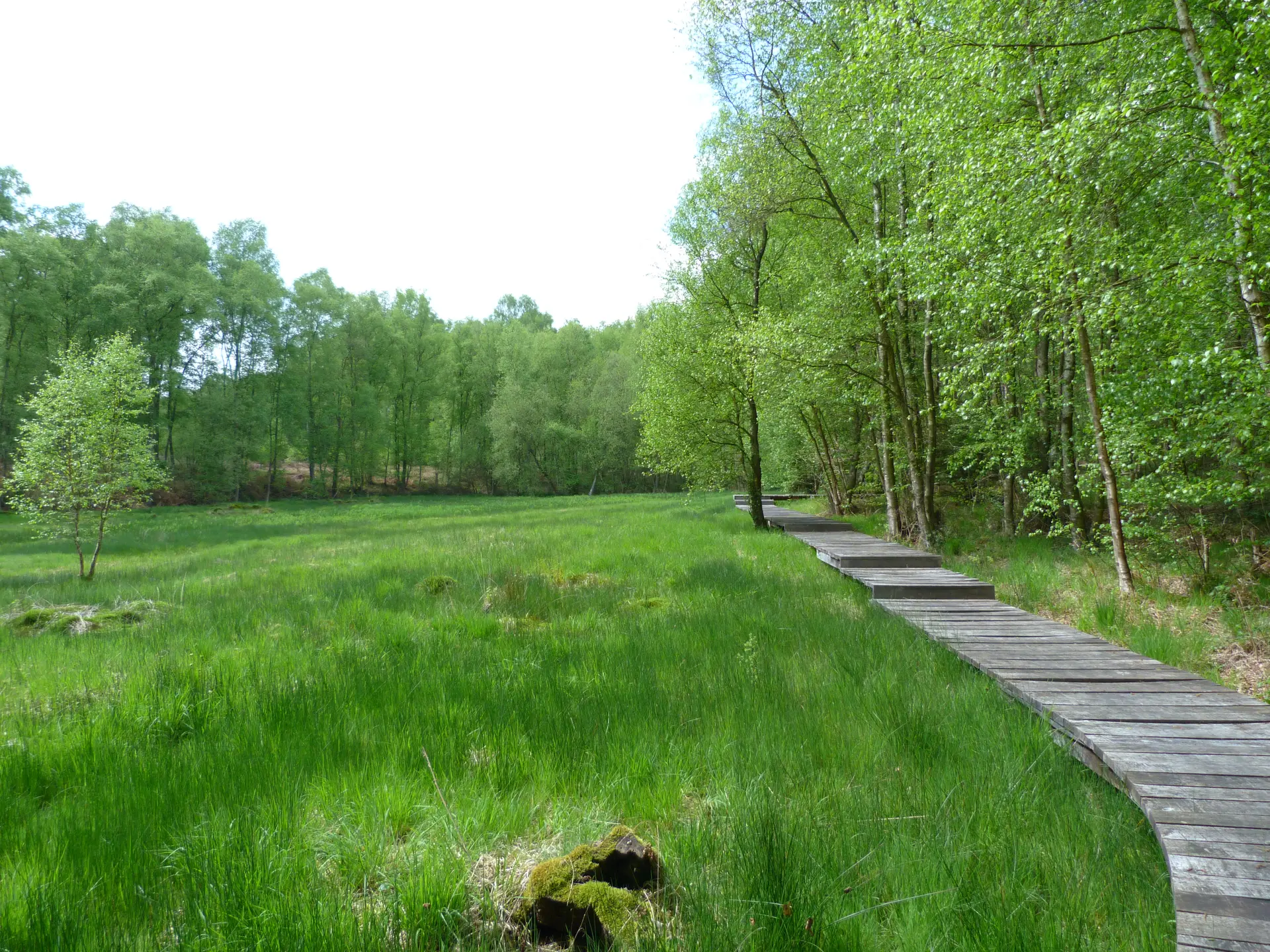 Bois de l'Epinay (4) © Catherine Leroy
