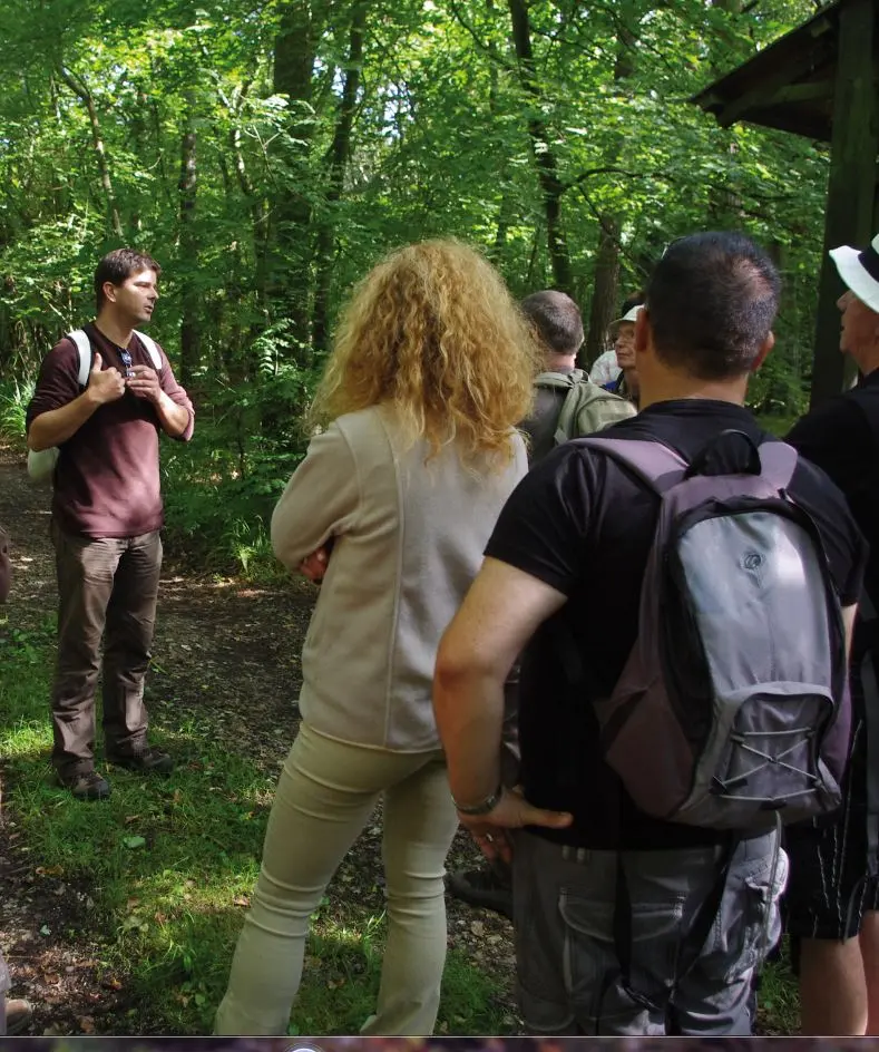 Bois des Communes