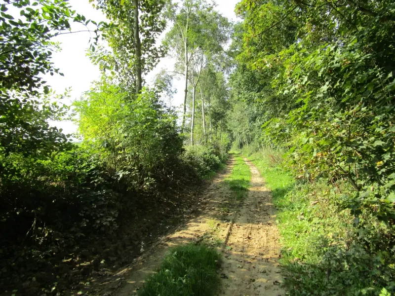 Boucle de randonnée La Bichotterie