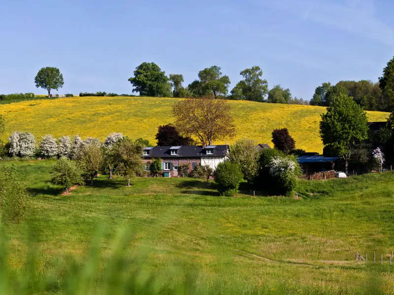 Pays de Bray