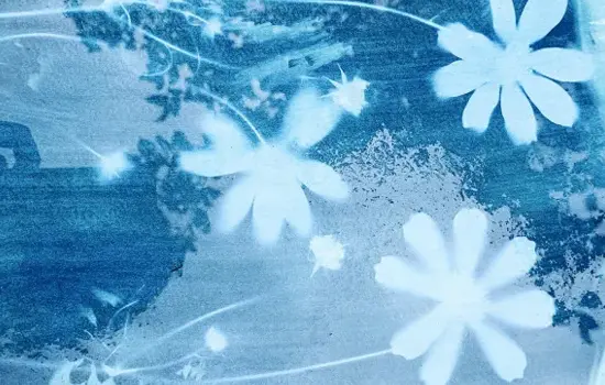 Atelier famille : Cyanotype pour enfant