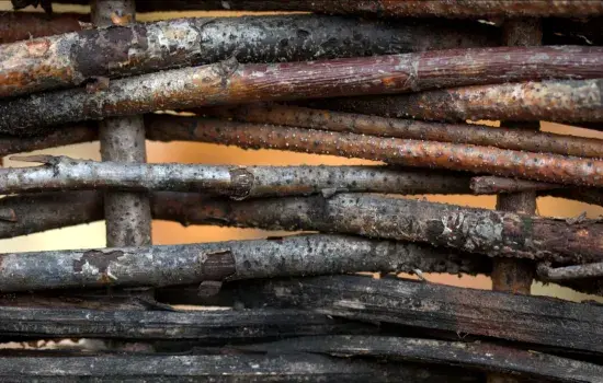 Atelier créatif : Tressage naturel