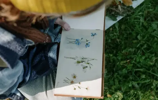 Atelier créatif : Le dessin botanique
