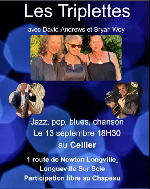 Affiche Concert Les Triplettes