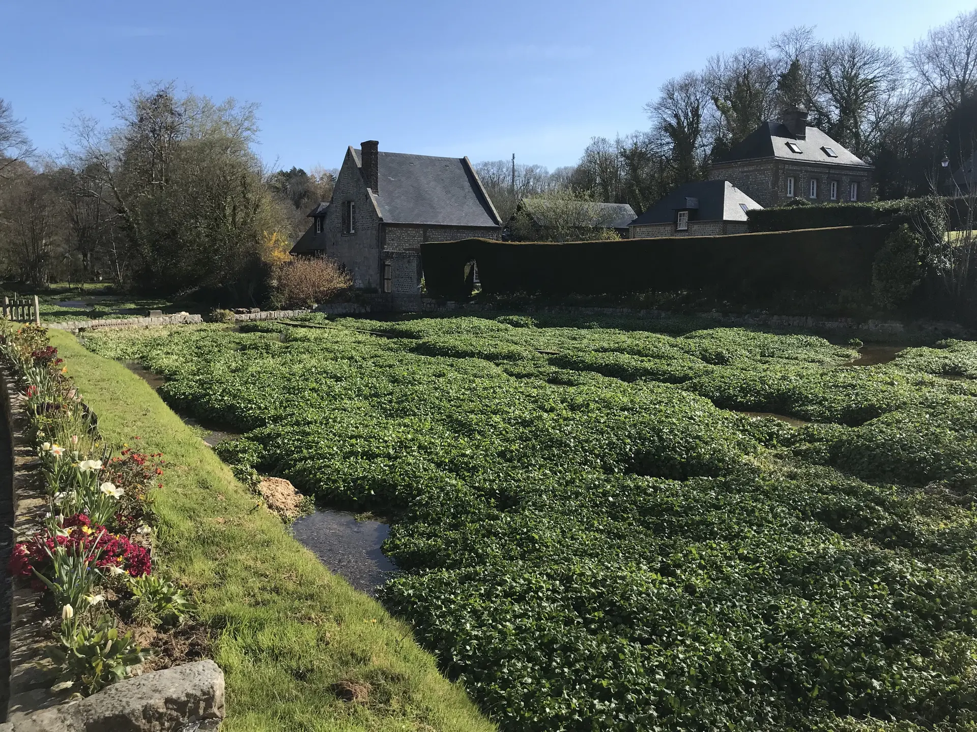 Circuit_pat_Veules_AB2019 (2)