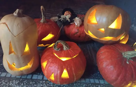 Citrouilles - ©Touches d'Histoire