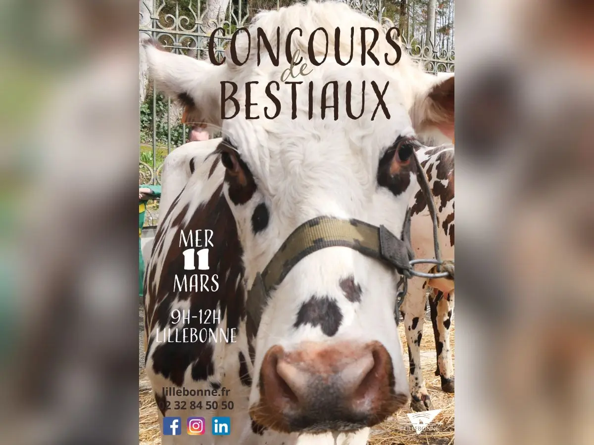 Concours bestiaux-lillebonne-mars-26 (1)