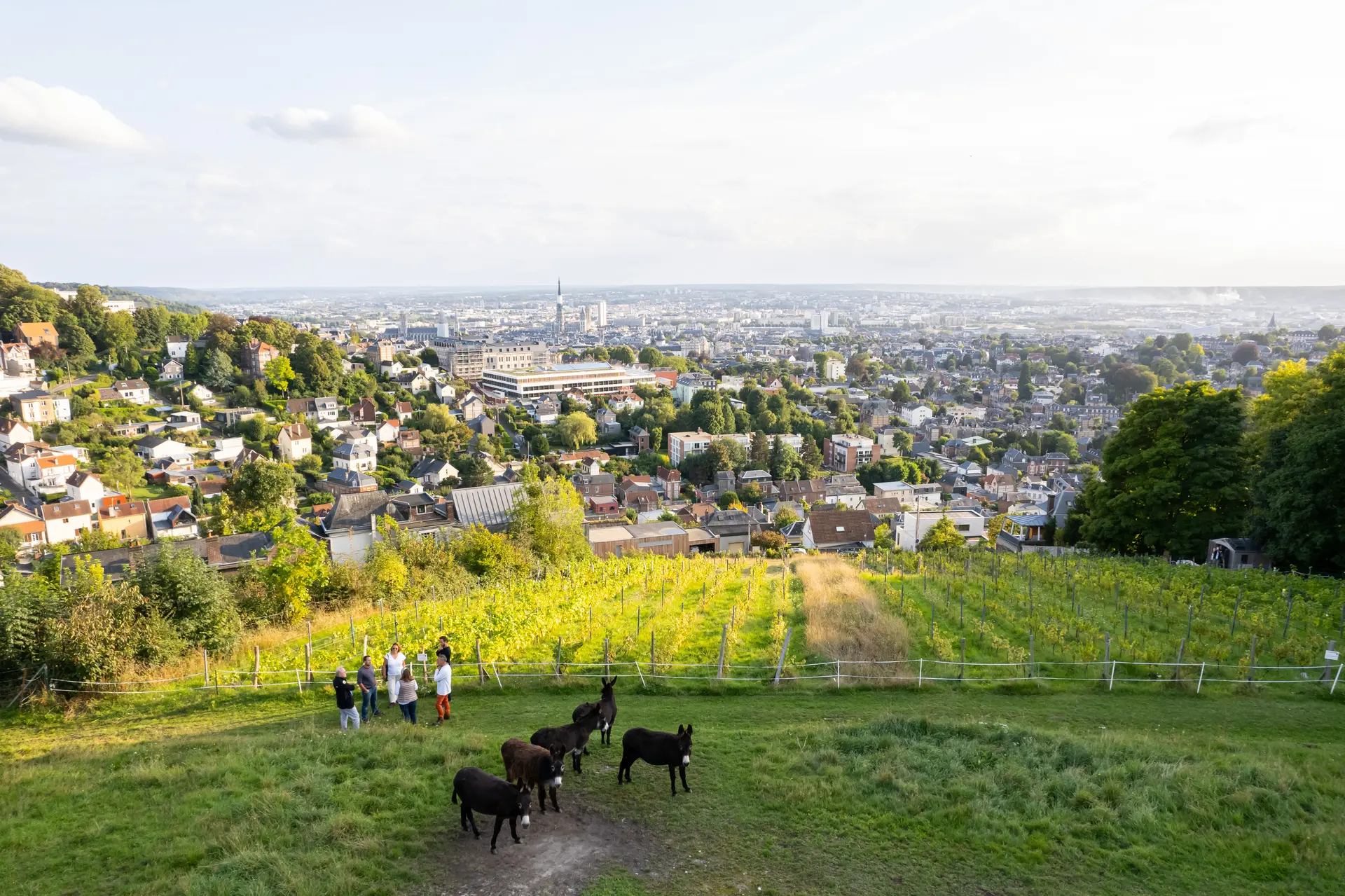 DJI_0014-JPEG_HD_300_Dpi