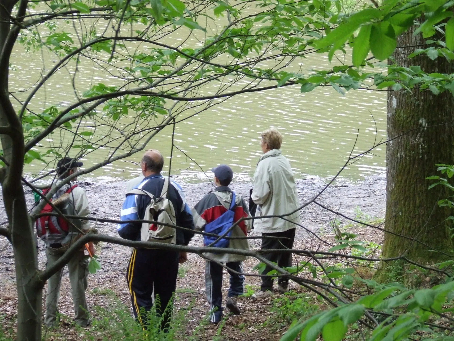 Randonnée dans le Bois de l'Epinay - Forges-les-eaux