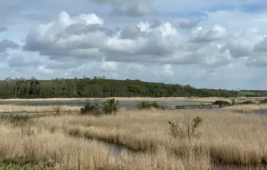 Découverte marais du Hode