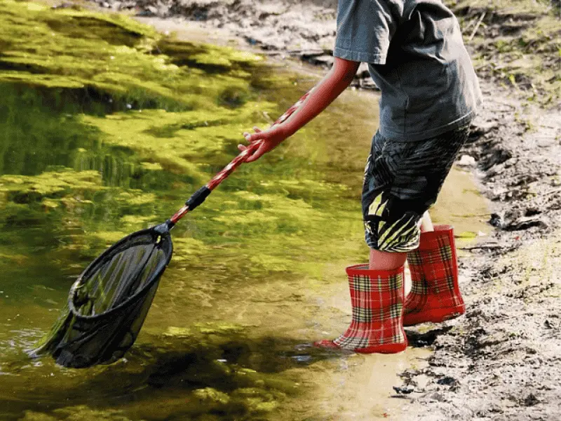 DIPTICK redimensionnement visuels - 8