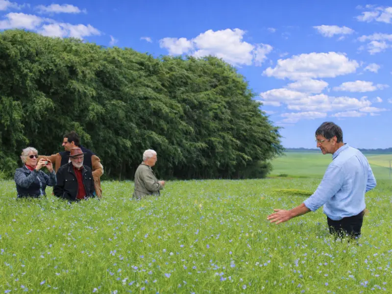 Design sans titre - 3