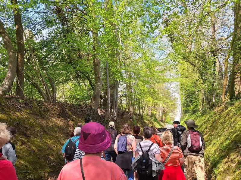 Design sans titre - 74