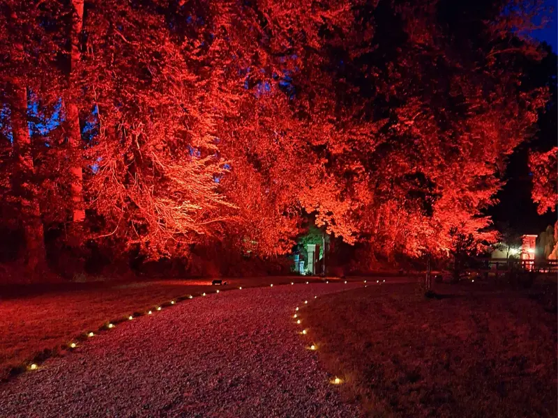 Design sans titre - 13