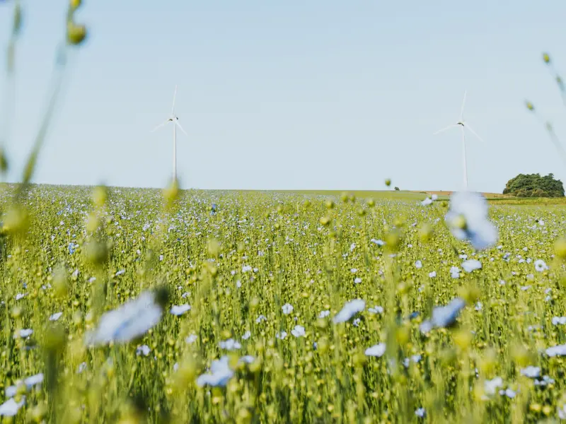 Design sans titre - 43