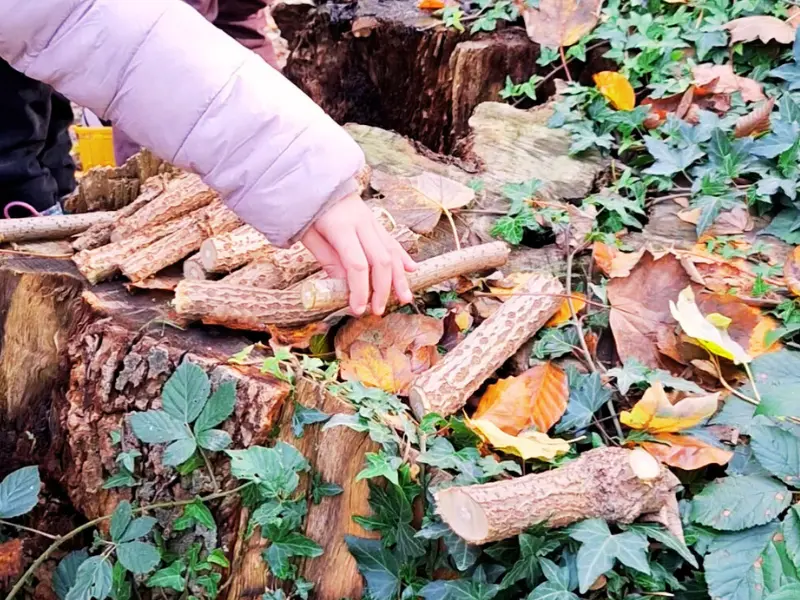 Design sans titre - 49