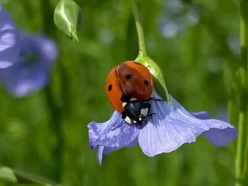 Design sans titre - 14