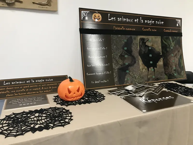 EcrettevilleLesBaons_LesAnimauxHalloween©YNT-2025