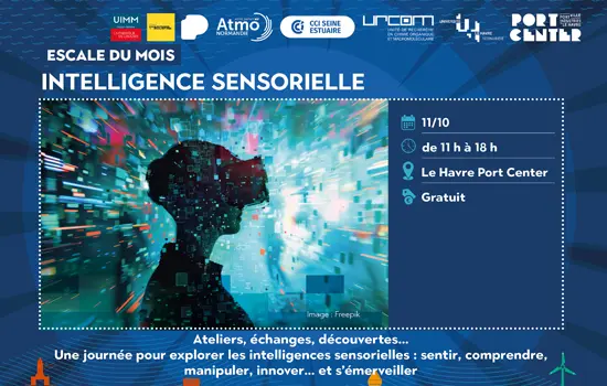 Escale du mois - Intelligence sensorielle