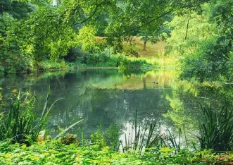 Balade autour des étangs d'Arques-la-Bataille
