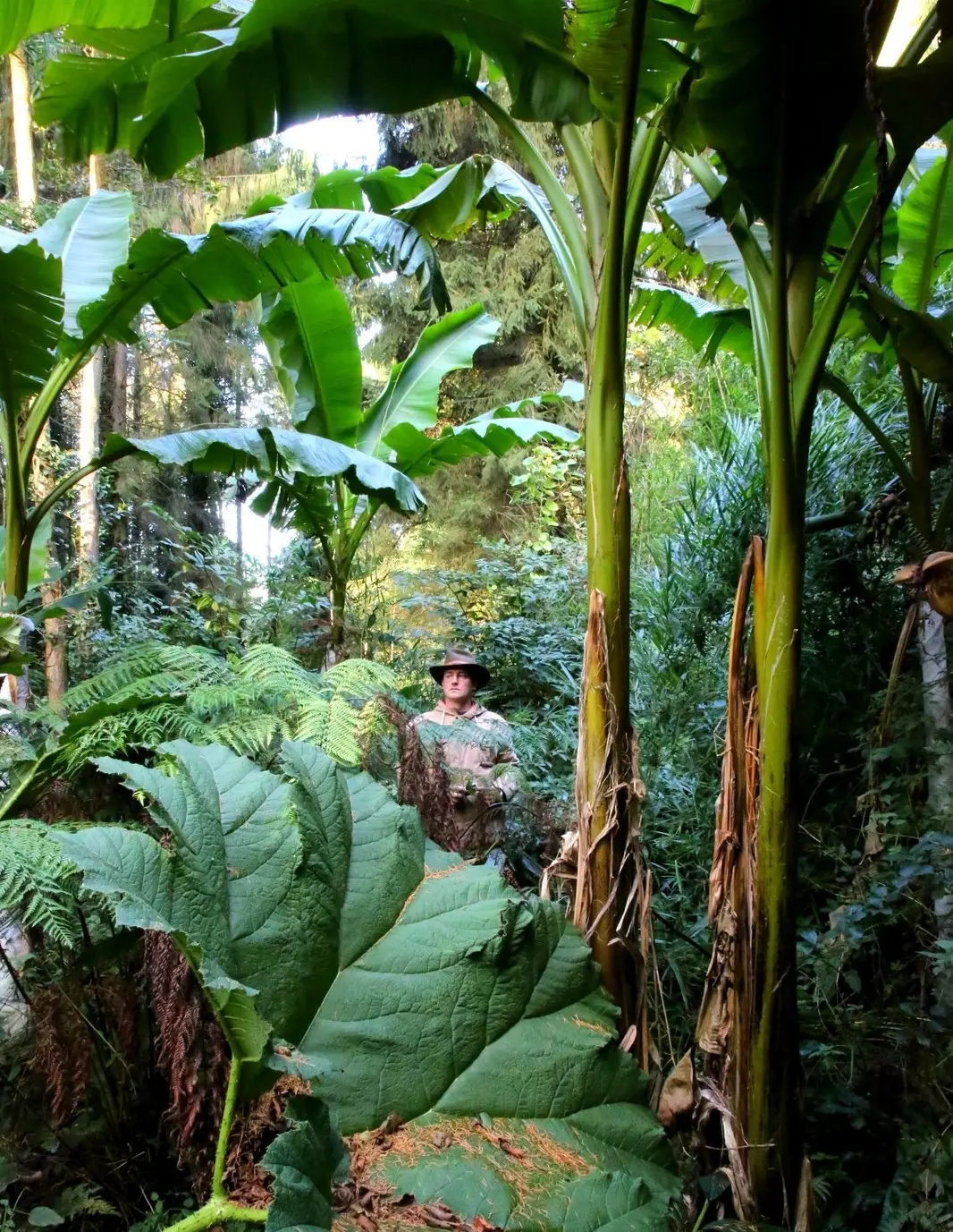 Eu_Jardin-jungle_Jardin@M.BOULANGER_2021