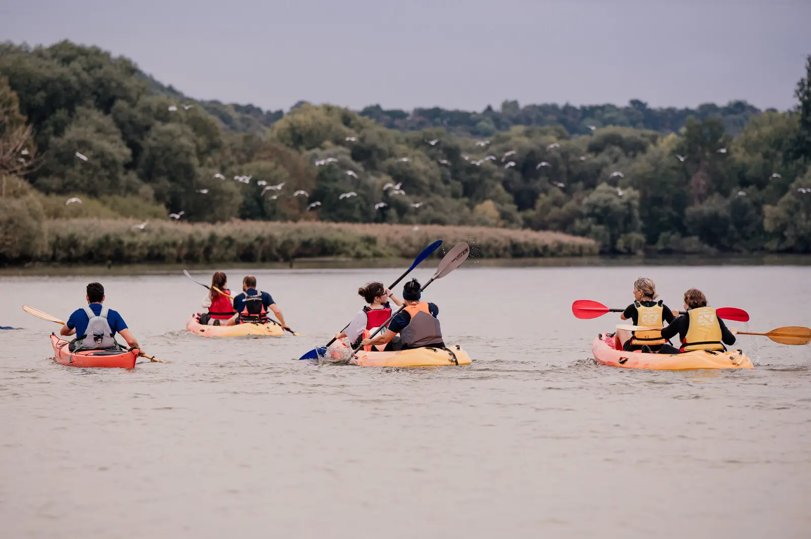 Experience_Normande___sortie_kayak_sur_la_Seine_-_Marie-Anais_Thierry-Marie-Anais_Thierry-25870-1600px