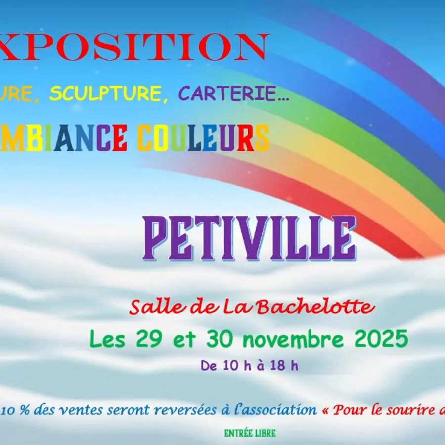 Exposition_Ambiance_Couleurs_Salle_Bachelotte_Petiville