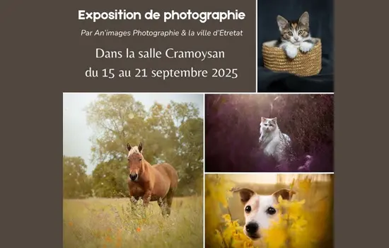 Exposition photo