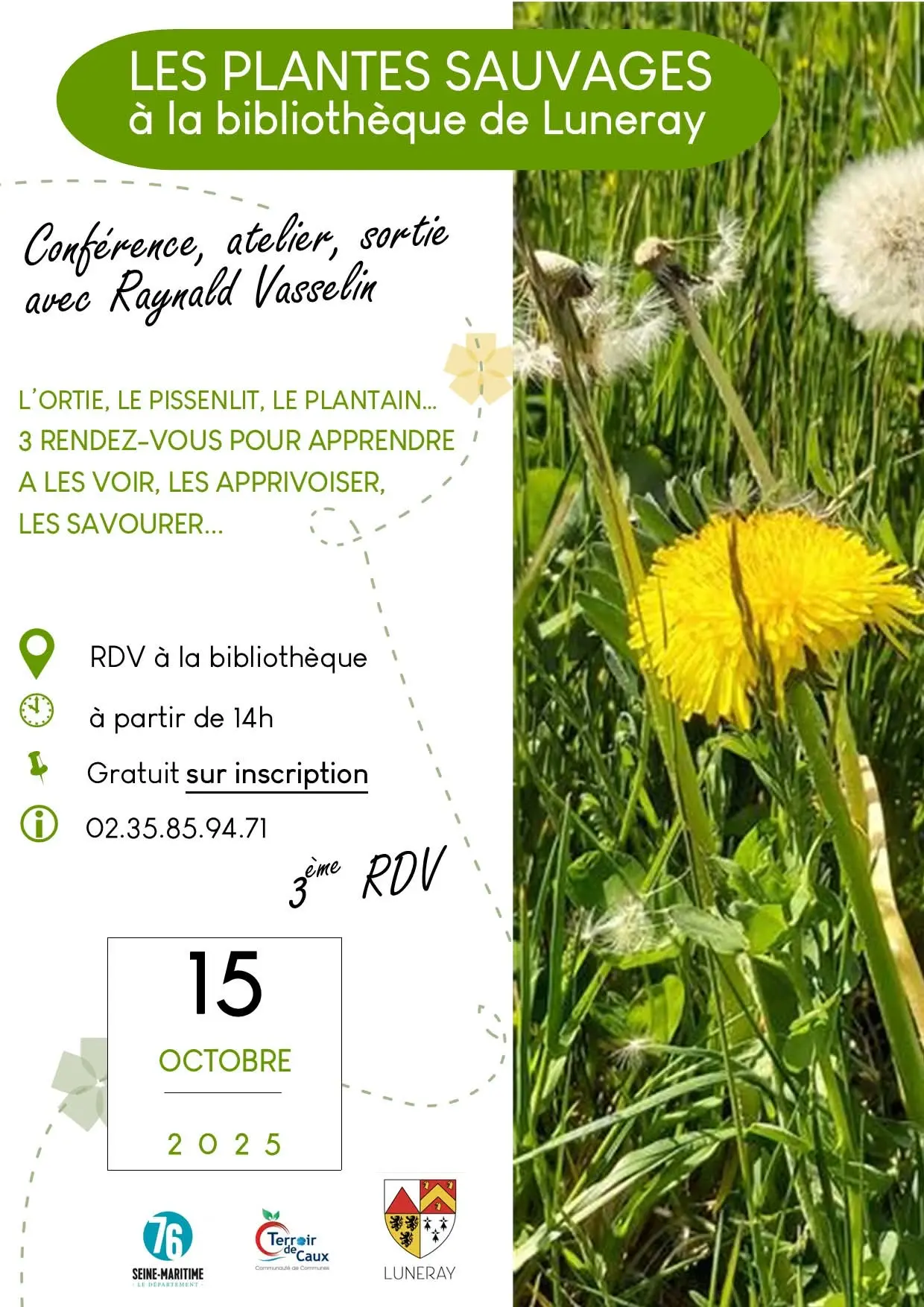 affiche plantes sauvages