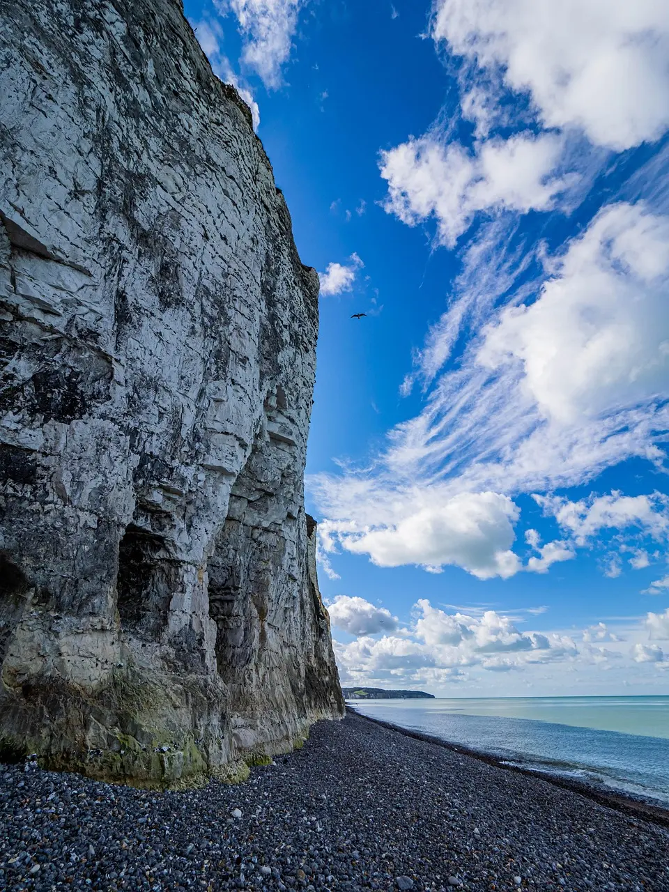 Falaises vivantes à Dieppe