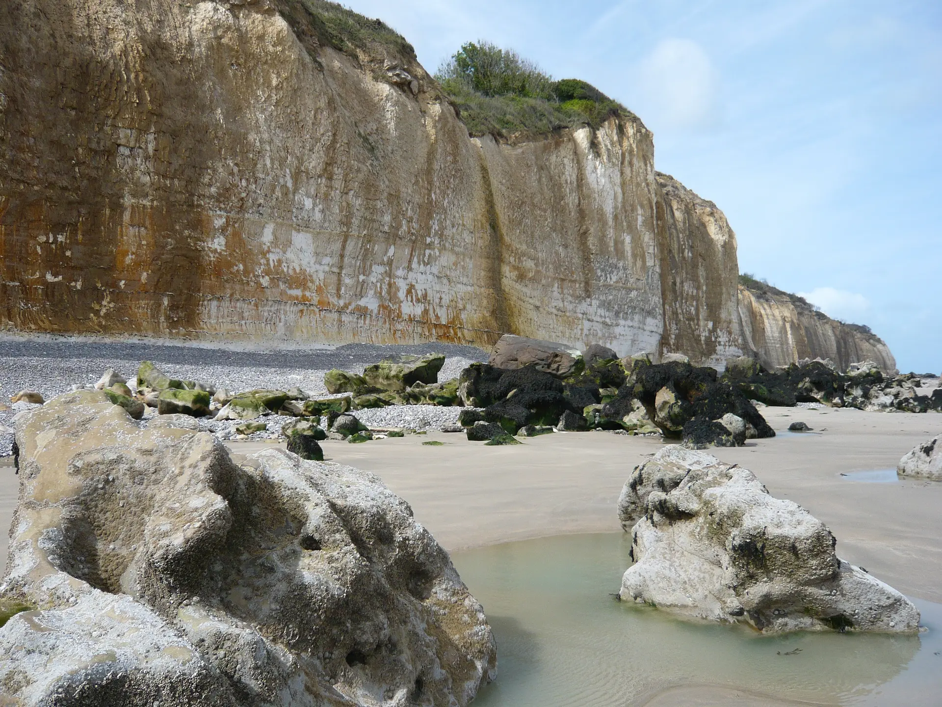 Faune et flore du littoral à Ste Marguerite