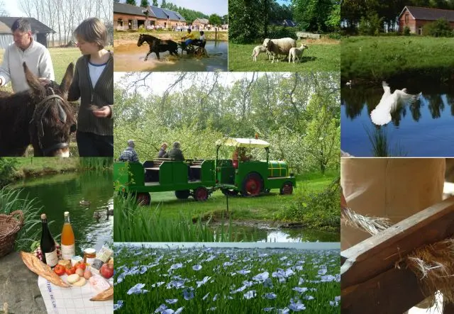 Ferme au fil des saisons - Amfreville les Champs (8)
