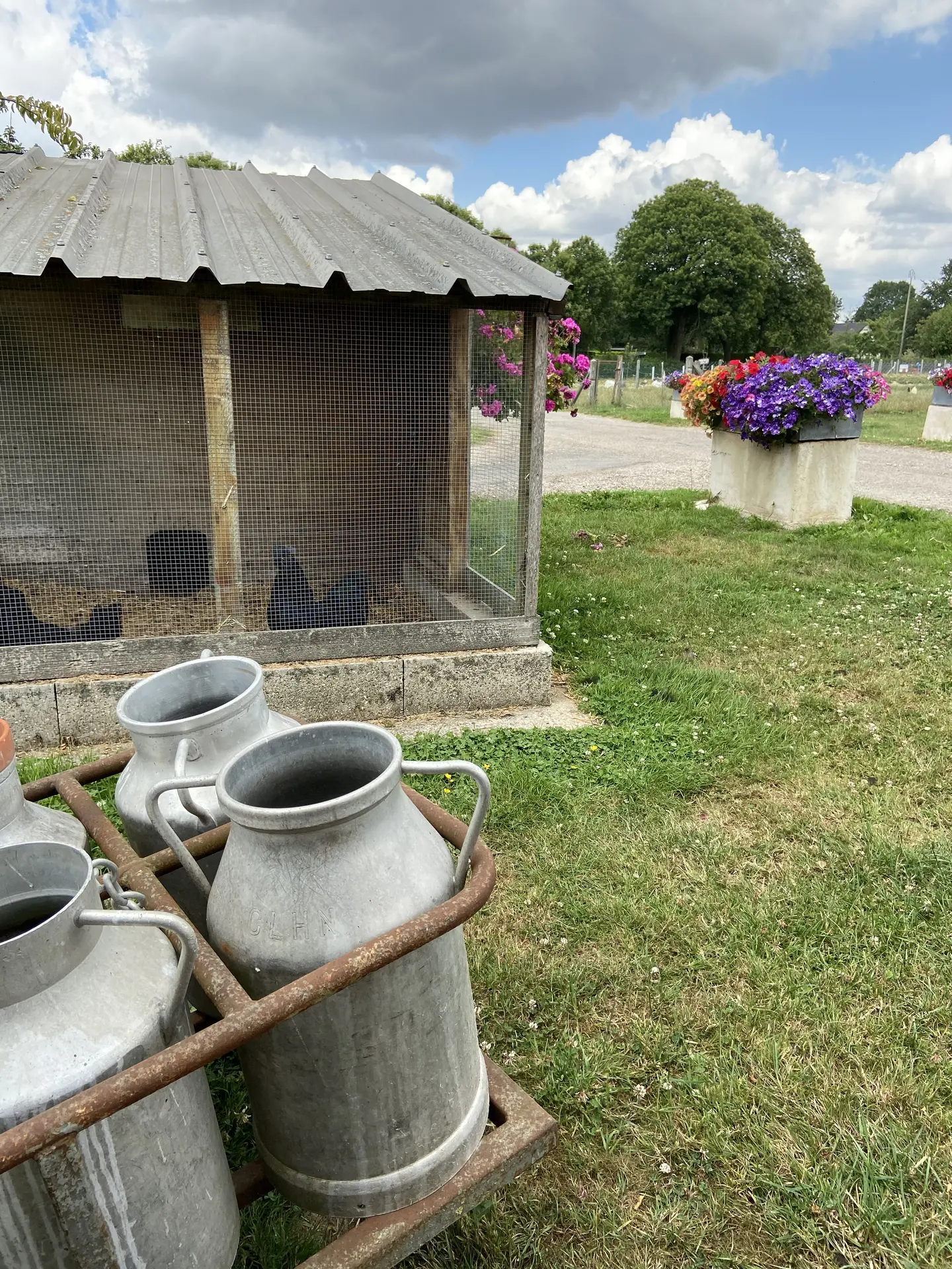 Ferme des Chataigniers - 2020 - CATENAY -(3)