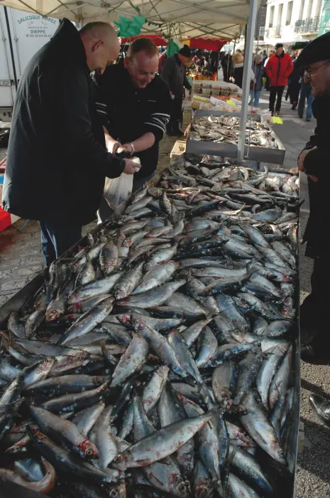 Foire aux harengs - Saint Valery en Caux