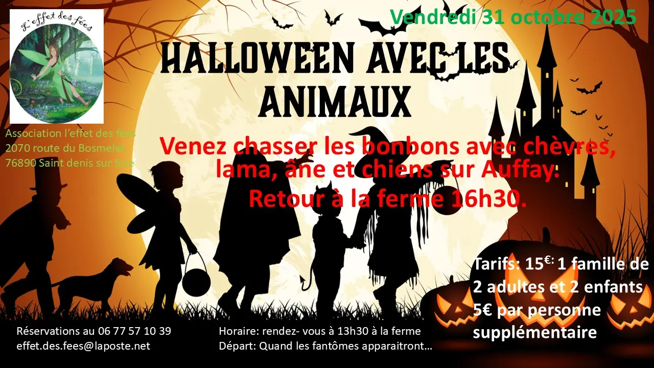 Halloween-effet-des-fees.2025