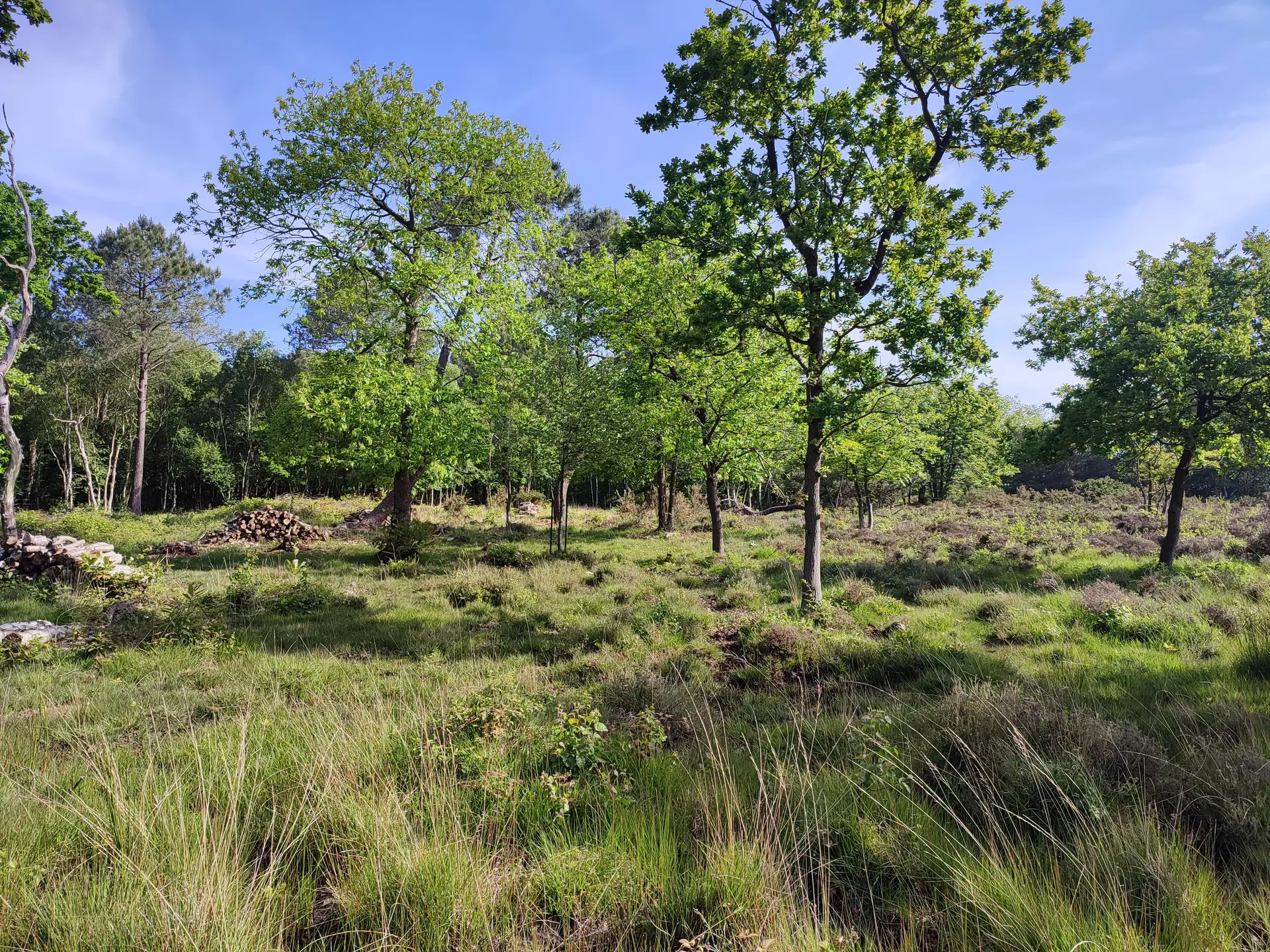 Mission Nature au Bois des Communes
