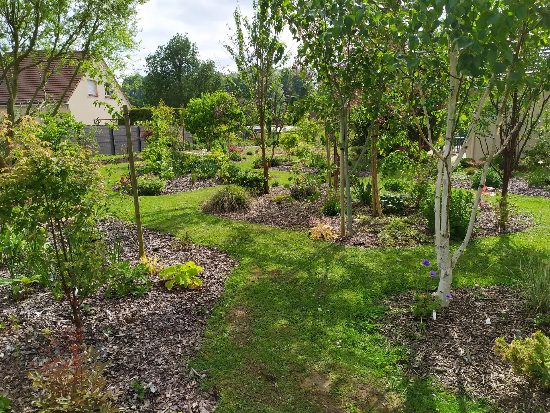 vue du jardin