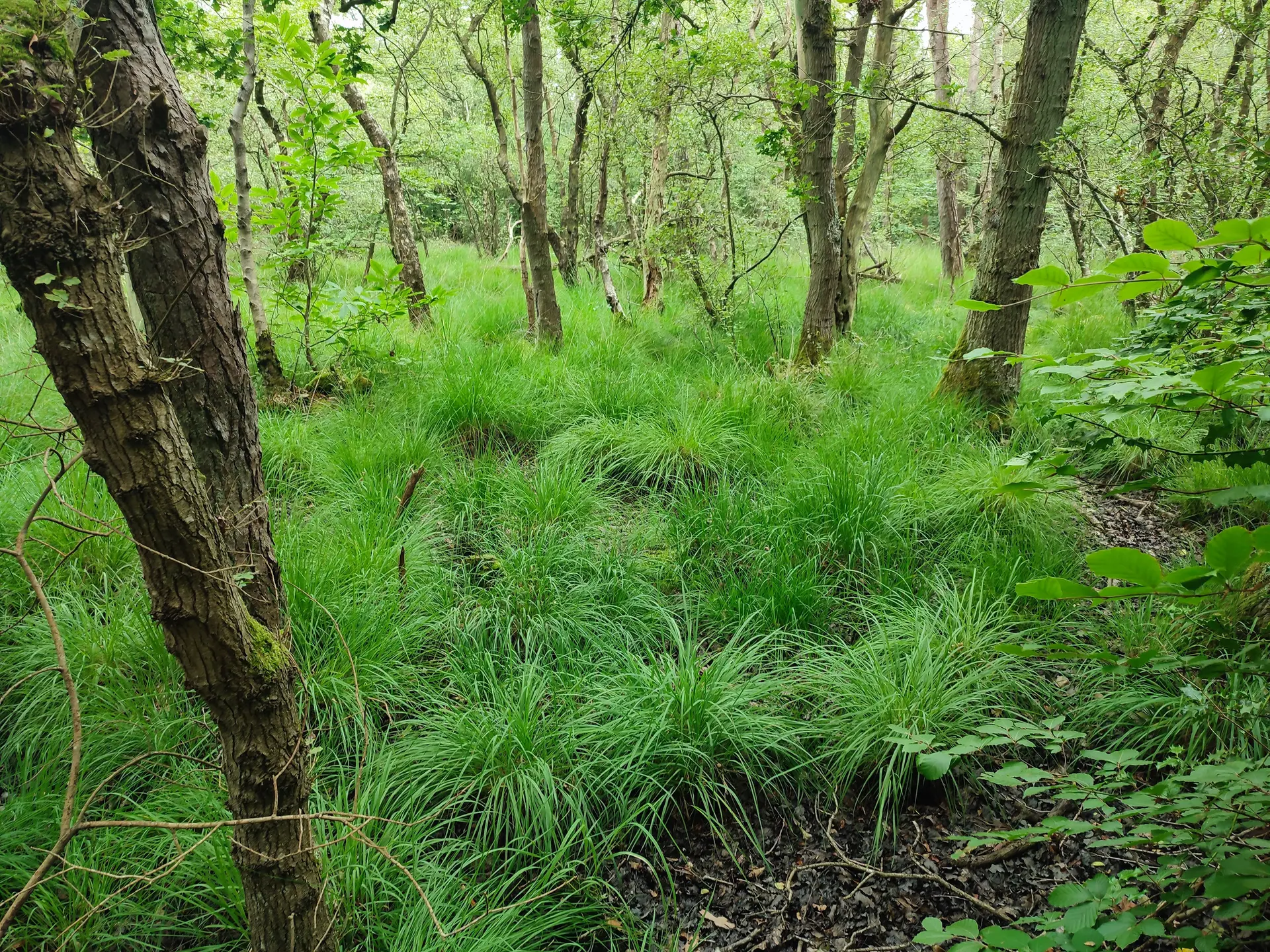 Terre et Mer autour du Bois des Communes