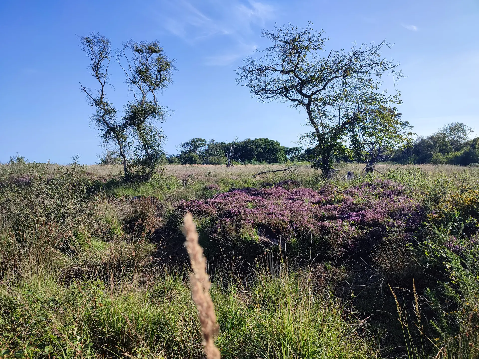 Terre et Mer autour du Cap d'Ailly